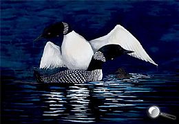 Click image to zoom in.